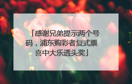 感谢兄弟提示两个号码，浦东购彩者复式票喜中大乐透头奖