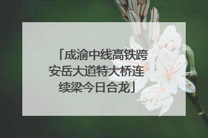 成渝中线高铁跨安岳大道特大桥连续梁今日合龙