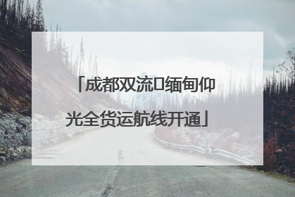成都双流⇌缅甸仰光全货运航线开通