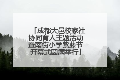 成都大邑校家社协同育人主题活动暨南街小学紫藤节开幕式圆满举行