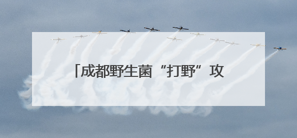 成都野生菌“打野”攻略走红 专家提醒：切勿随意采食，严重或致命