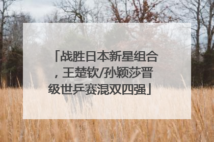 战胜日本新星组合，王楚钦/孙颖莎晋级世乒赛混双四强