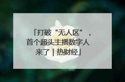 打破“无人区”，首个超头主播数字人来了｜热财经