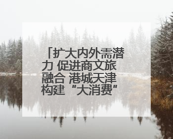 扩大内外需潜力 促进商文旅融合 港城天津构建“大消费”强磁场