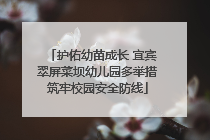 护佑幼苗成长 宜宾翠屏菜坝幼儿园多举措筑牢校园安全防线