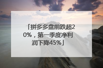 拼多多盘前跌超20%，第一季度净利润下降45%