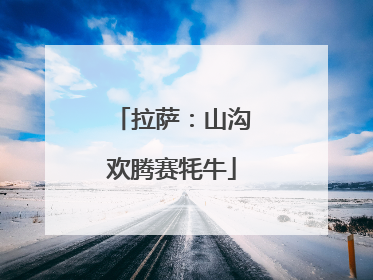 拉萨：山沟欢腾赛牦牛