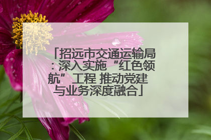 招远市交通运输局：深入实施“红色领航”工程 推动党建与业务深度融合