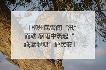 柳州民警闻“汛”而动 暴雨中筑起“藏蓝堤坝”护民安