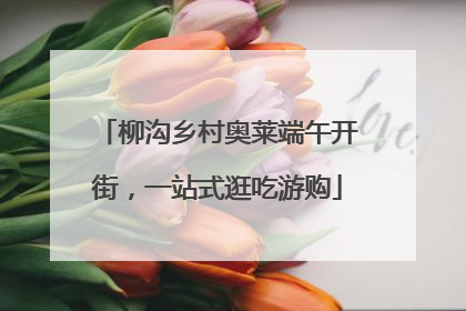 柳沟乡村奥莱端午开街，一站式逛吃游购