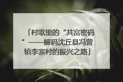 村歌里的“共富密码”——解码沈丘县冯营镇李寨村的振兴之路