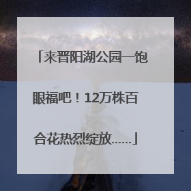 来晋阳湖公园一饱眼福吧！12万株百合花热烈绽放……