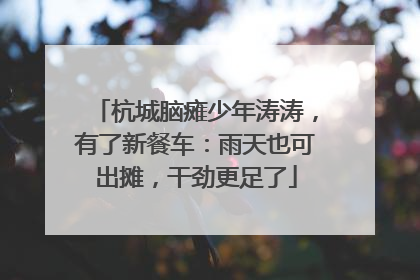 杭城脑瘫少年涛涛，有了新餐车：雨天也可出摊，干劲更足了