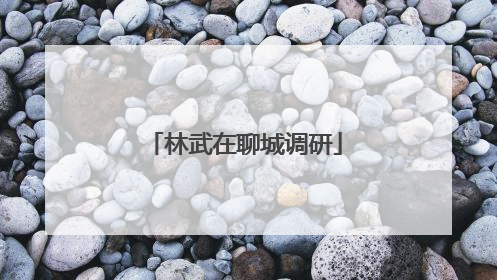 林武在聊城调研