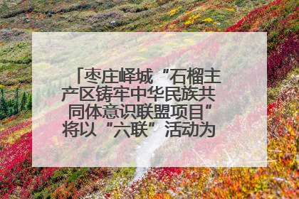 枣庄峄城“石榴主产区铸牢中华民族共同体意识联盟项目”将以“六联”活动为抓手深化品牌建设