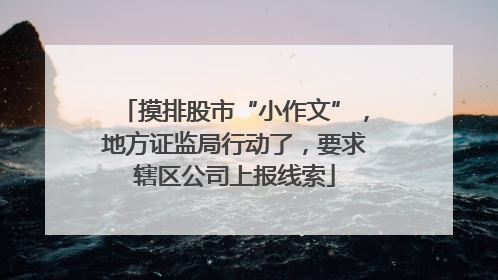 摸排股市“小作文”，地方证监局行动了，要求辖区公司上报线索