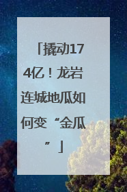 撬动174亿！龙岩连城地瓜如何变“金瓜”