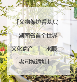文物保护看基层｜湖南省首个世界文化遗产——永顺老司城遗址