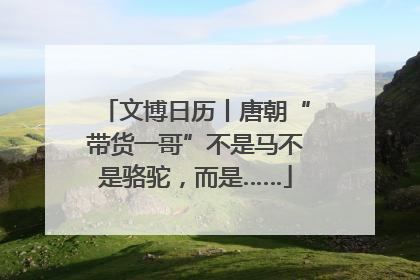 文博日历丨唐朝“带货一哥”不是马不是骆驼，而是……