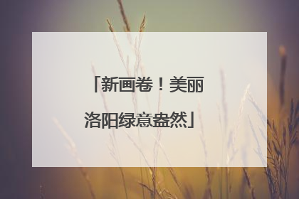 新画卷！美丽洛阳绿意盎然