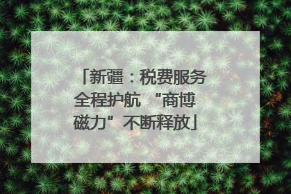新疆：税费服务全程护航 “商博磁力”不断释放