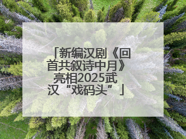 新编汉剧《回首共叙诗中月》亮相2025武汉“戏码头”