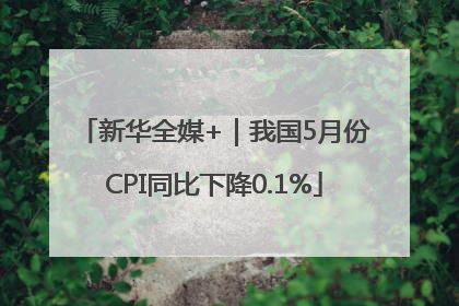 新华全媒+｜我国5月份CPI同比下降0.1%