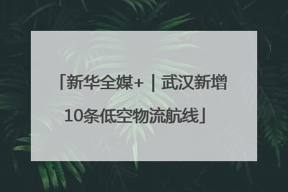 新华全媒+｜武汉新增10条低空物流航线