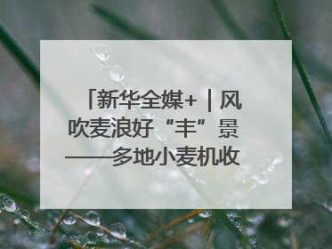 新华全媒+｜风吹麦浪好“丰”景——多地小麦机收一线见闻