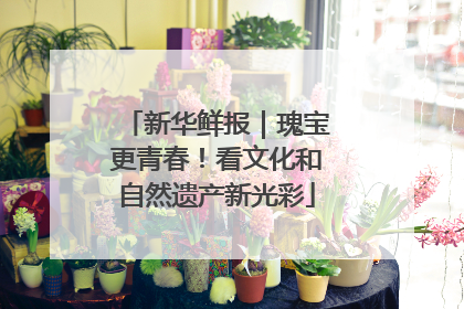新华鲜报｜瑰宝更青春！看文化和自然遗产新光彩