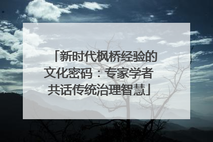 新时代枫桥经验的文化密码:专家学者共话传统治理智慧