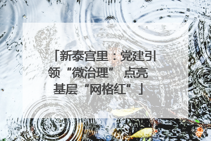 新泰宫里：党建引领“微治理” 点亮基层“网格红”