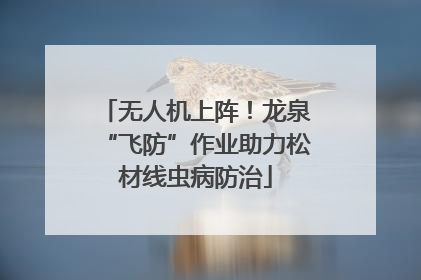 无人机上阵！龙泉“飞防”作业助力松材线虫病防治