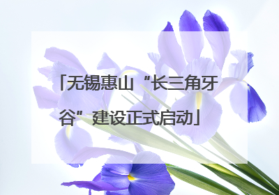 无锡惠山“长三角牙谷”建设正式启动