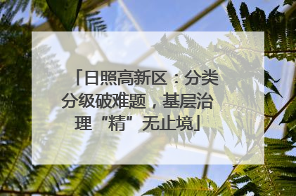 日照高新区：分类分级破难题，基层治理“精”无止境