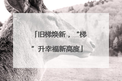 旧梯焕新，“梯”升幸福新高度