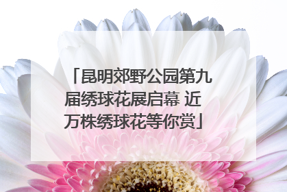 昆明郊野公园第九届绣球花展启幕 近万株绣球花等你赏