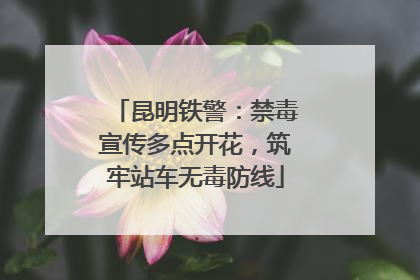 昆明铁警：禁毒宣传多点开花，筑牢站车无毒防线