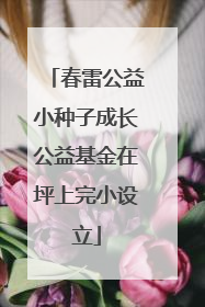 春雷公益小种子成长公益基金在坪上完小设立