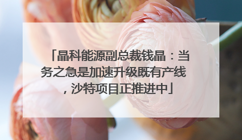 晶科能源副总裁钱晶：当务之急是加速升级既有产线，沙特项目正推进中