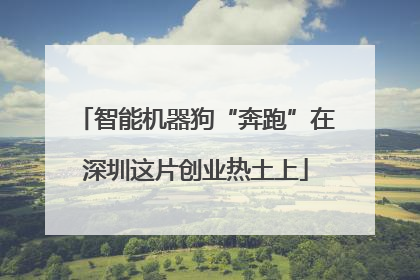 智能机器狗“奔跑”在深圳这片创业热土上