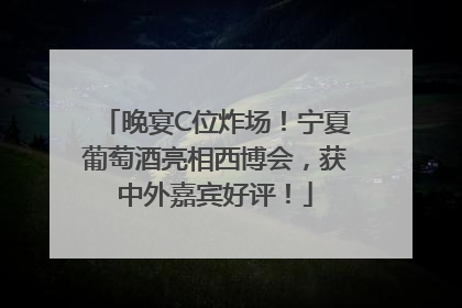 晚宴C位炸场！宁夏葡萄酒亮相西博会，获中外嘉宾好评！