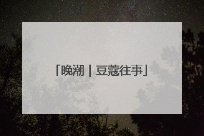 晚潮｜豆蔻往事