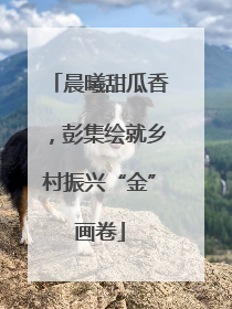 晨曦甜瓜香，彭集绘就乡村振兴“金”画卷