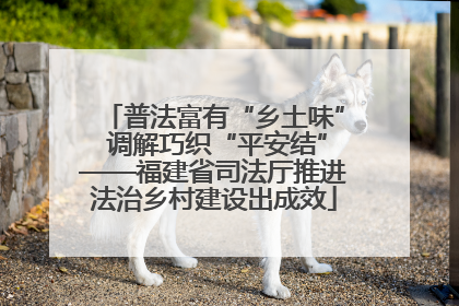 普法富有“乡土味” 调解巧织“平安结”——福建省司法厅推进法治乡村建设出成效