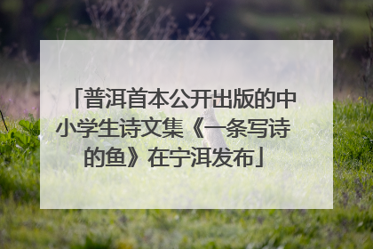 普洱首本公开出版的中小学生诗文集《一条写诗的鱼》在宁洱发布