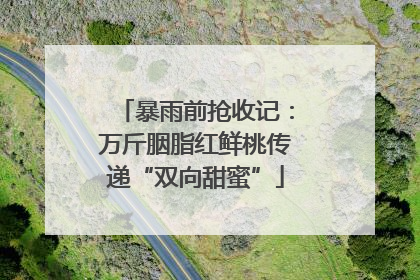 暴雨前抢收记：万斤胭脂红鲜桃传递“双向甜蜜”