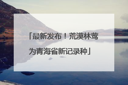 最新发布！荒漠林莺为青海省新记录种