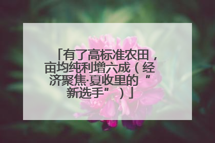 有了高标准农田，亩均纯利增六成（经济聚焦·夏收里的“新选手”）