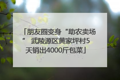 朋友圈变身“助农卖场” 武陵源区黄家坪村5天销出4000斤包菜